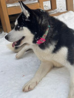 /album/116/whatsapp-image-2026-01-13-at-18-42-121-jpeg/